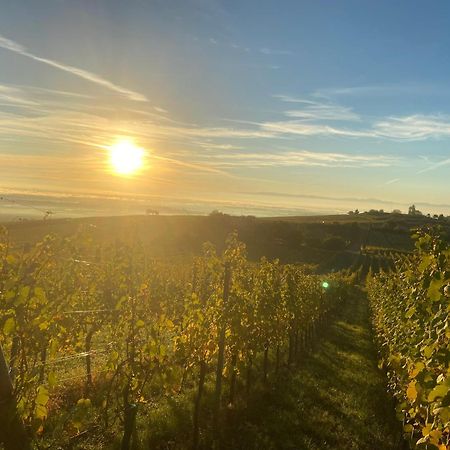 Charmant Et Chaleureux Gite Dans Le Vignoble Sigolsheim Exterior foto